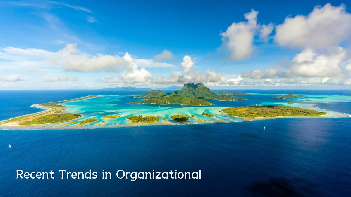 Recent Trends in Organizational