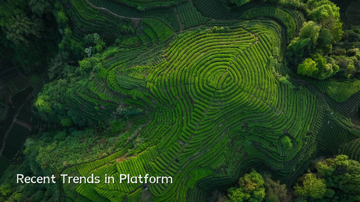 Recent Trends in Platform