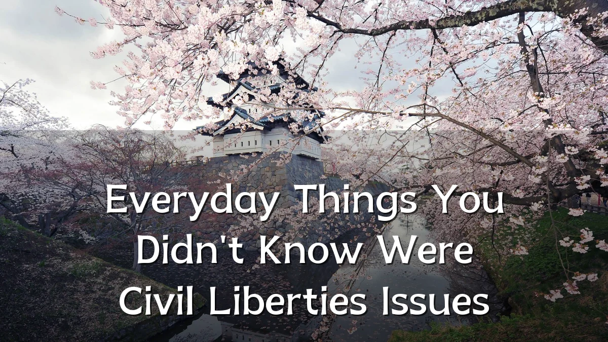 Everyday Things You Didn't Know Were Civil Liberties Issues