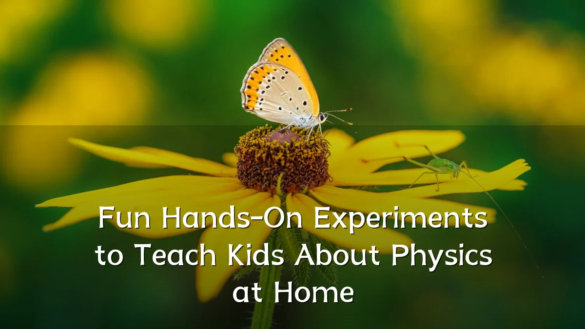 Fun Hands-On Experiments to Teach Kids About Physics at Home
