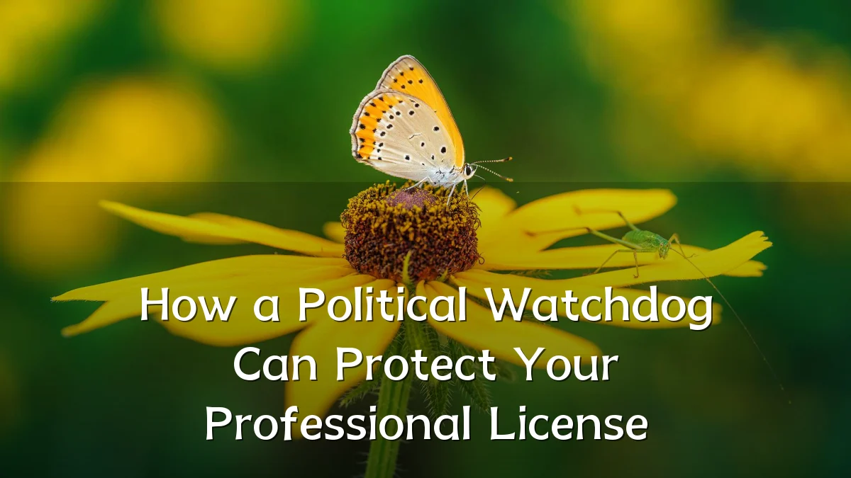 How a Political Watchdog Can Protect Your Professional License