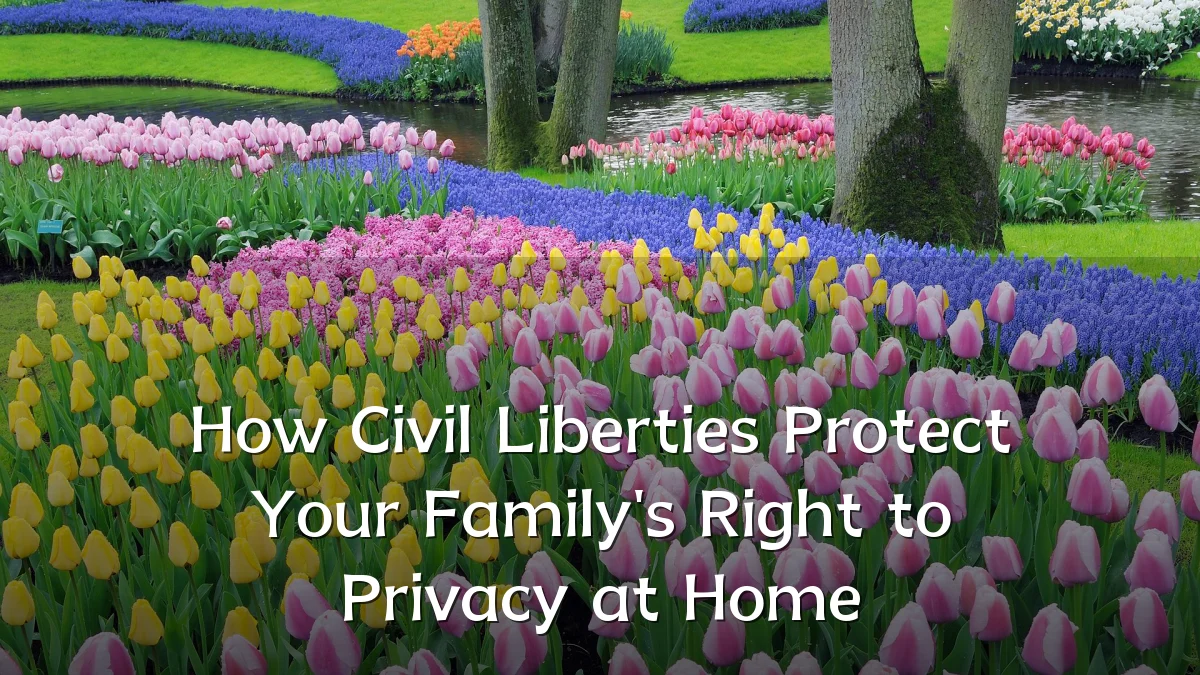 How Civil Liberties Protect Your Family's Right to Privacy at Home