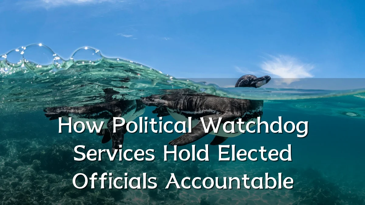 How Political Watchdog Services Hold Elected Officials Accountable