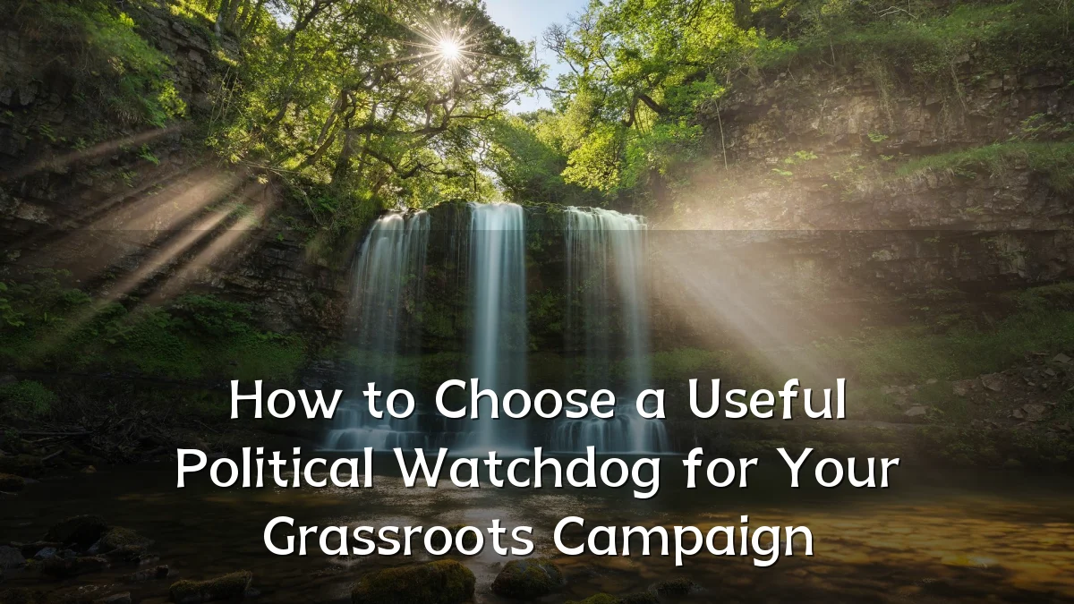 How to Choose a Useful Political Watchdog for Your Grassroots Campaign