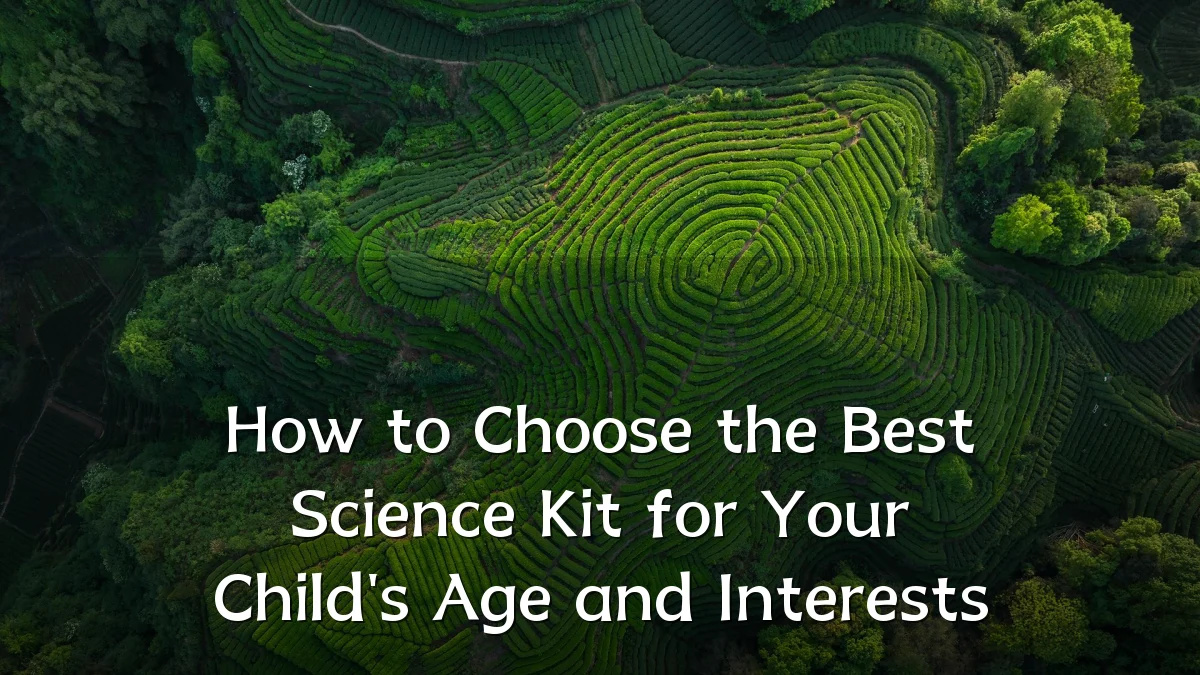 How to Choose the Best Science Kit for Your Child's Age and Interests