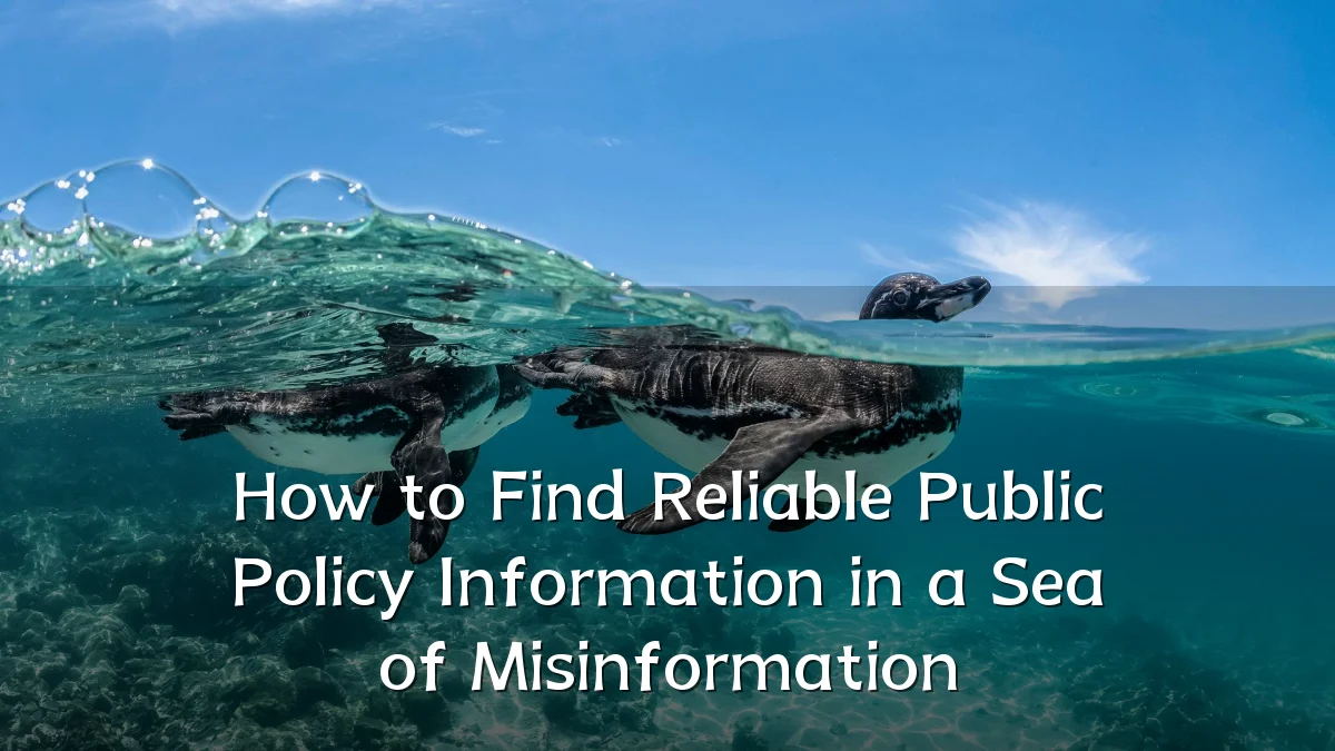 How to Find Reliable Public Policy Information in a Sea of Misinformation