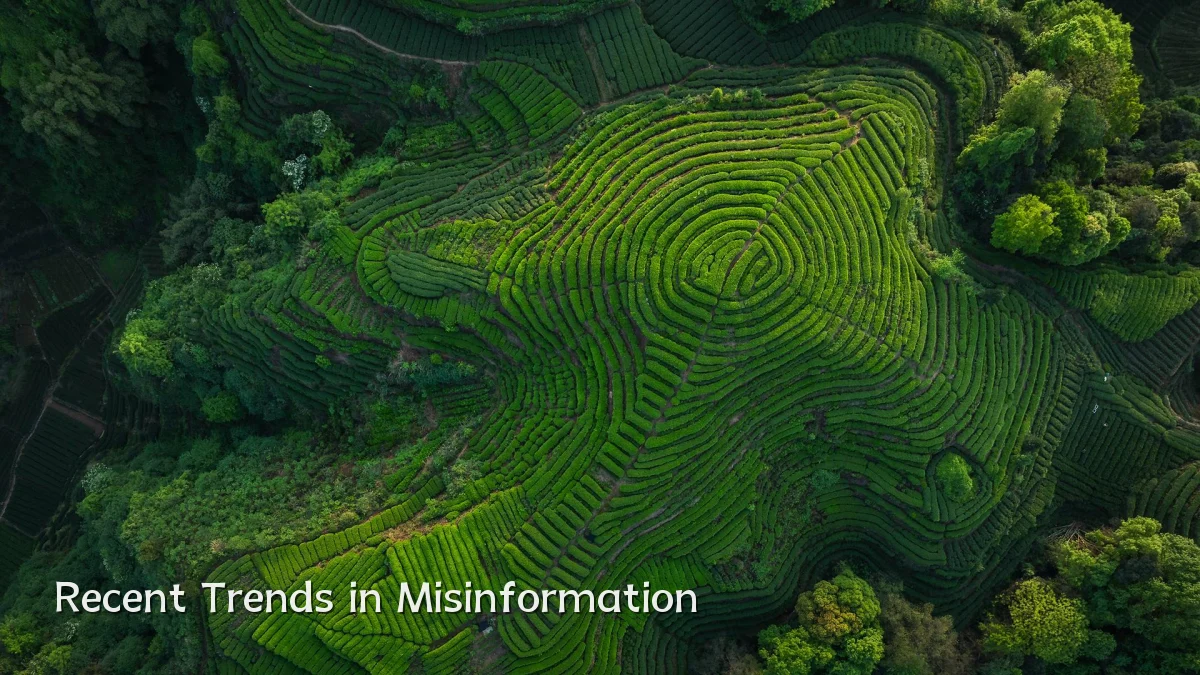 Recent Trends in Misinformation
