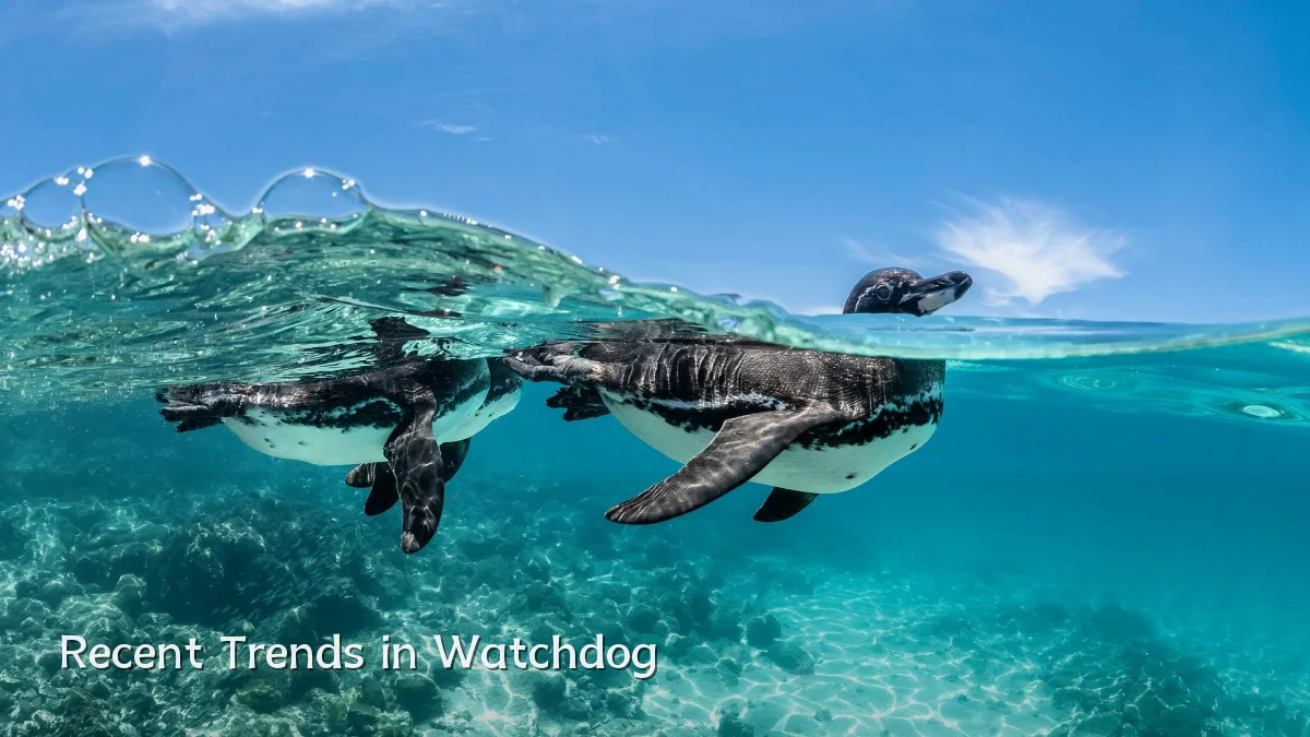 Recent Trends in Watchdog