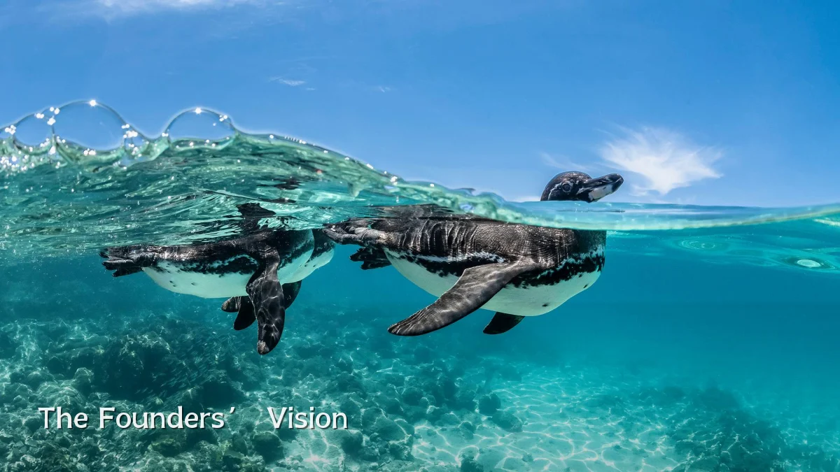 The Founders’ Vision