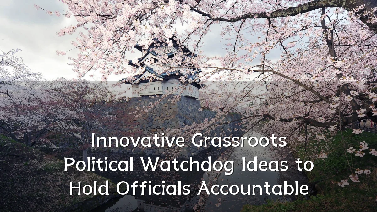 Innovative Grassroots Political Watchdog Ideas to Hold Officials Accountable
