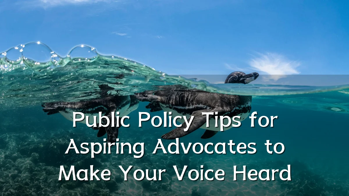 Public Policy Tips for Aspiring Advocates to Make Your Voice Heard