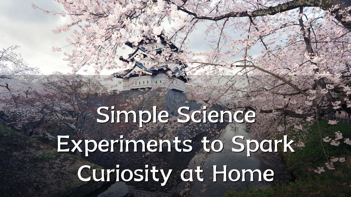 Simple Science Experiments to Spark Curiosity at Home