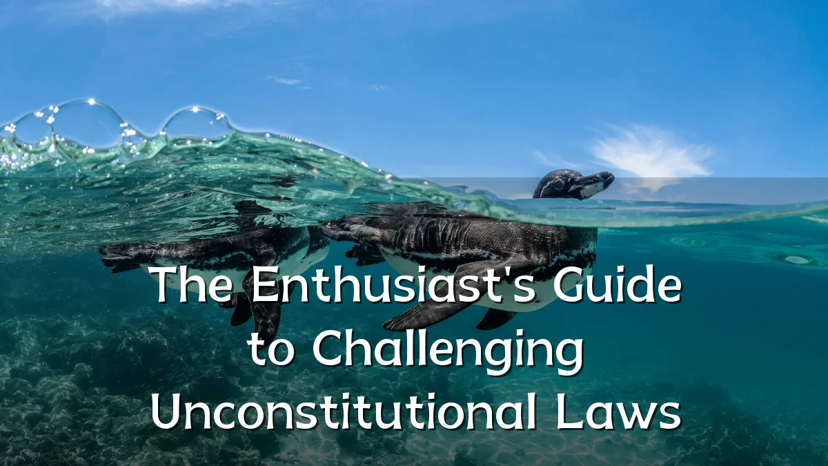 The Enthusiast's Guide to Challenging Unconstitutional Laws