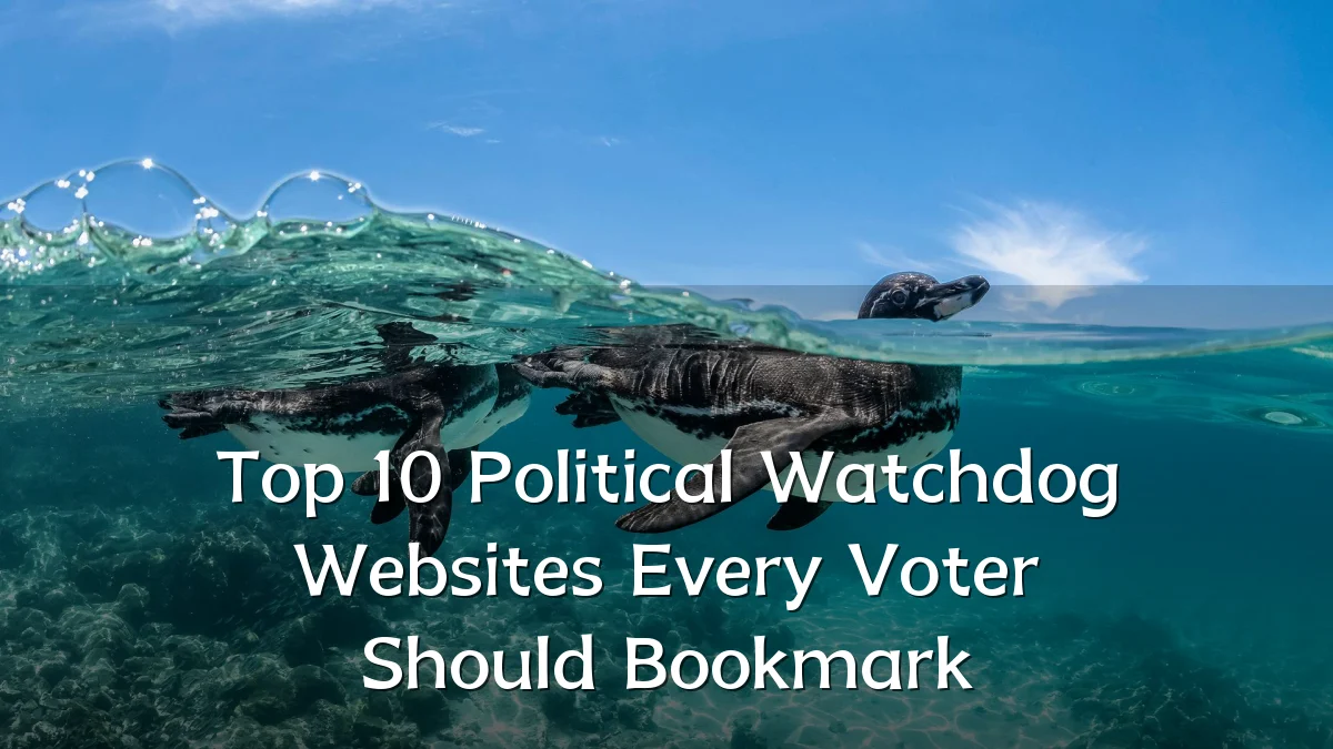 Top 10 Political Watchdog Websites Every Voter Should Bookmark
