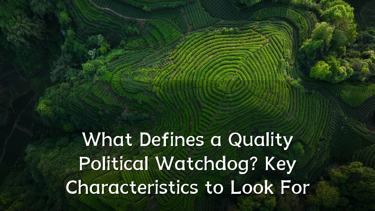 What Defines a Quality Political Watchdog? Key Characteristics to Look For