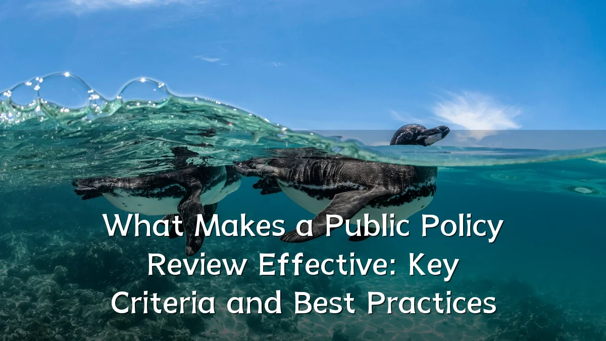 What Makes a Public Policy Review Effective: Key Criteria and Best Practices