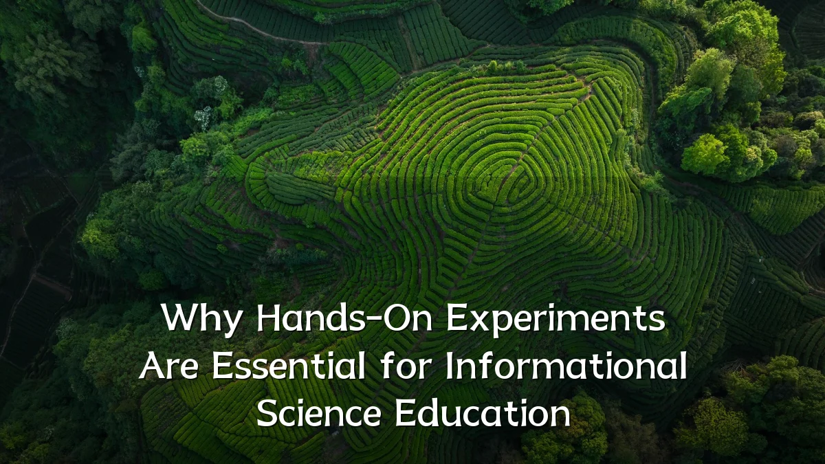 Why Hands-On Experiments Are Essential for Informational Science Education