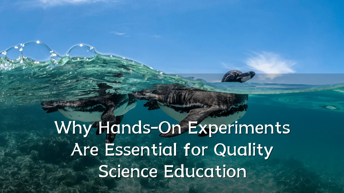 Why Hands-On Experiments Are Essential for Quality Science Education