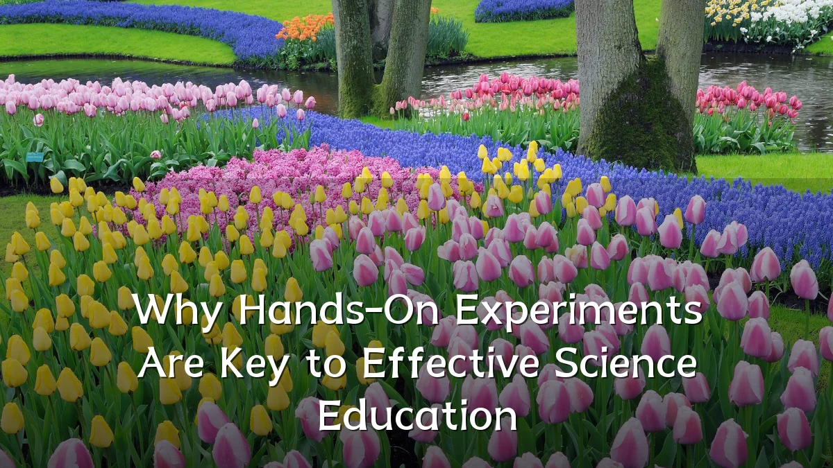 Why Hands-On Experiments Are Key to Effective Science Education
