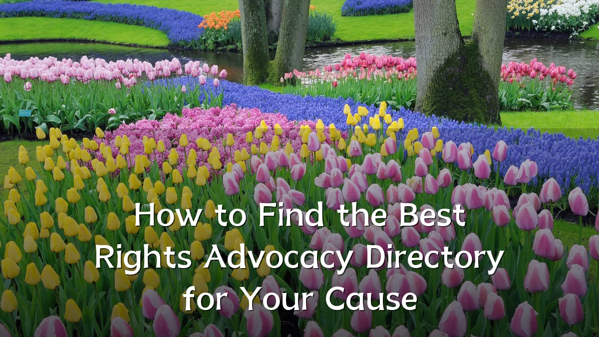 How to Find the Best Rights Advocacy Directory for Your Cause