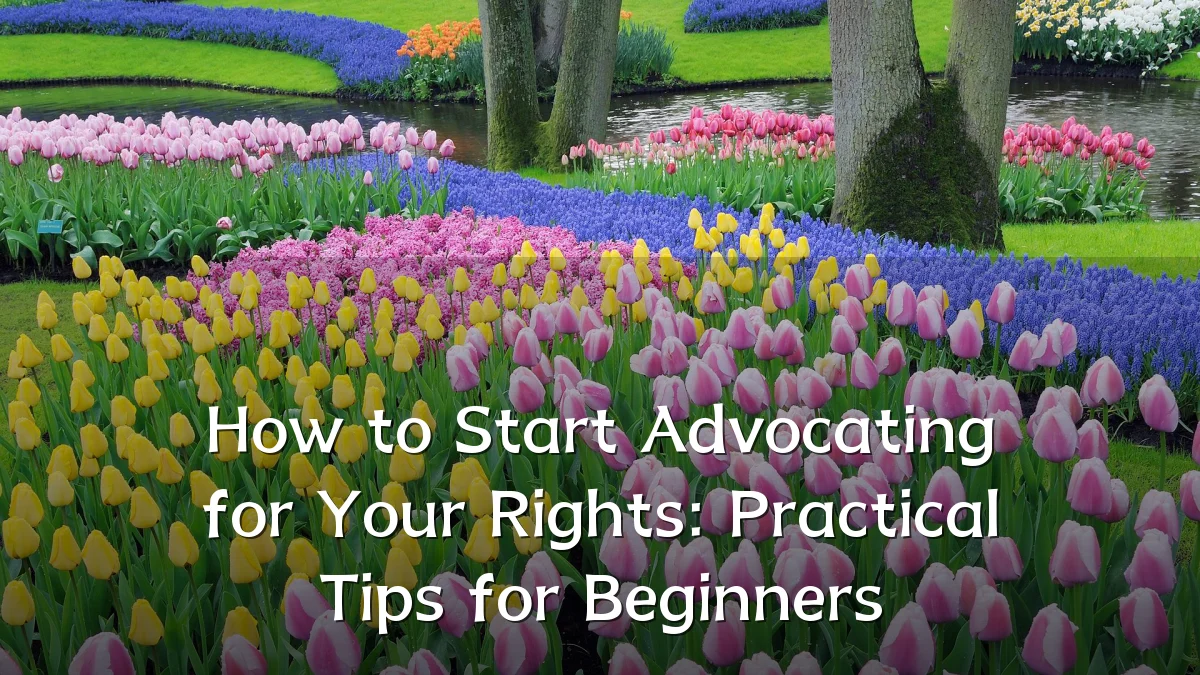 How to Start Advocating for Your Rights: Practical Tips for Beginners