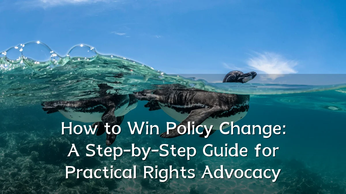 How to Win Policy Change: A Step-by-Step Guide for Practical Rights Advocacy
