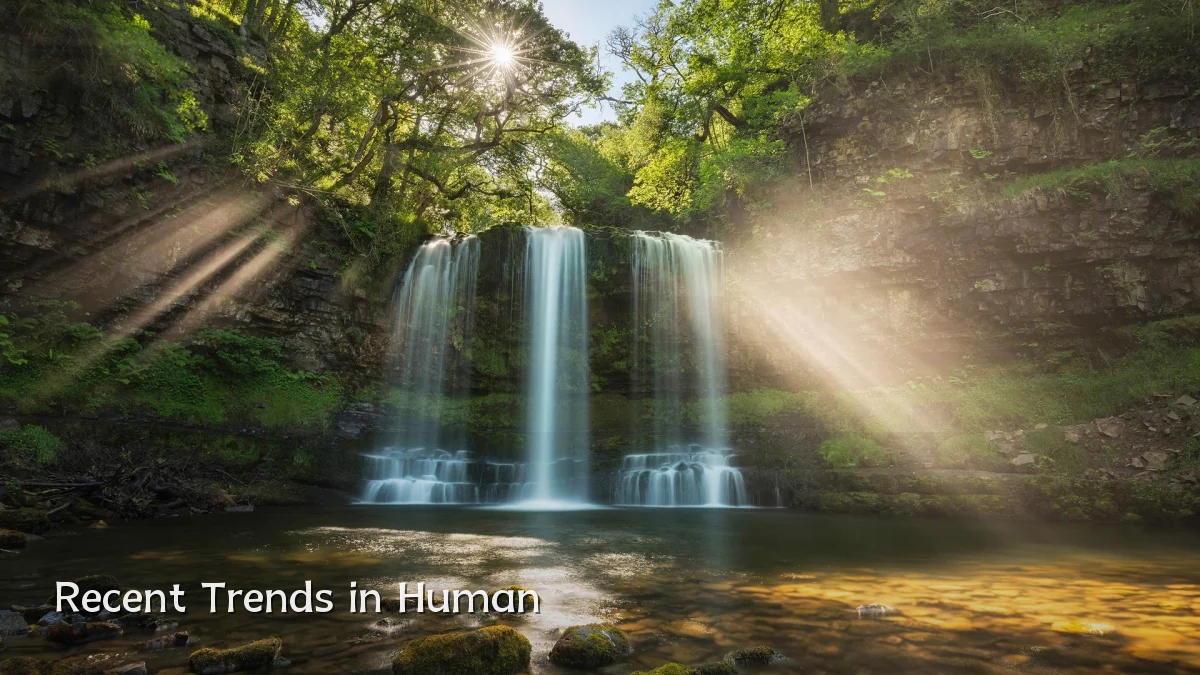 Recent Trends in Human