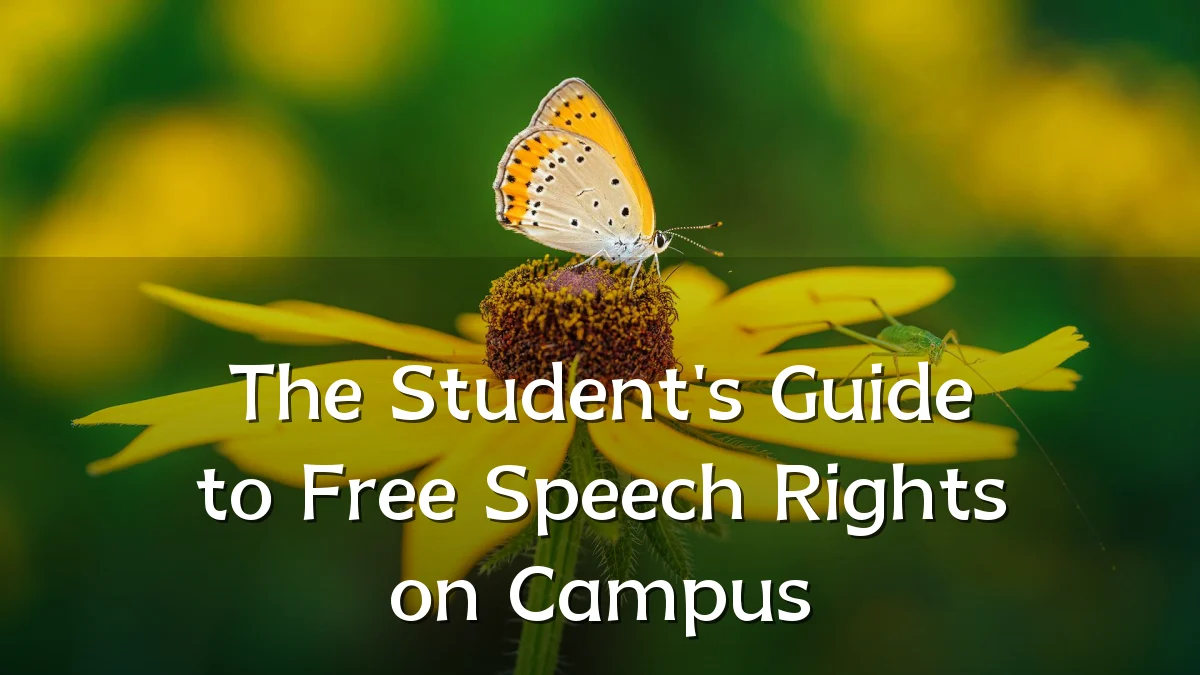 The Student's Guide to Free Speech Rights on Campus