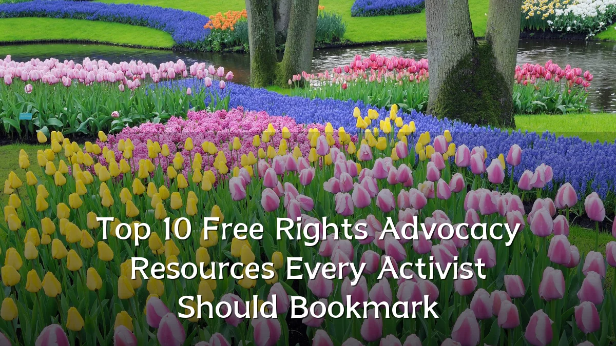 Top 10 Free Rights Advocacy Resources Every Activist Should Bookmark