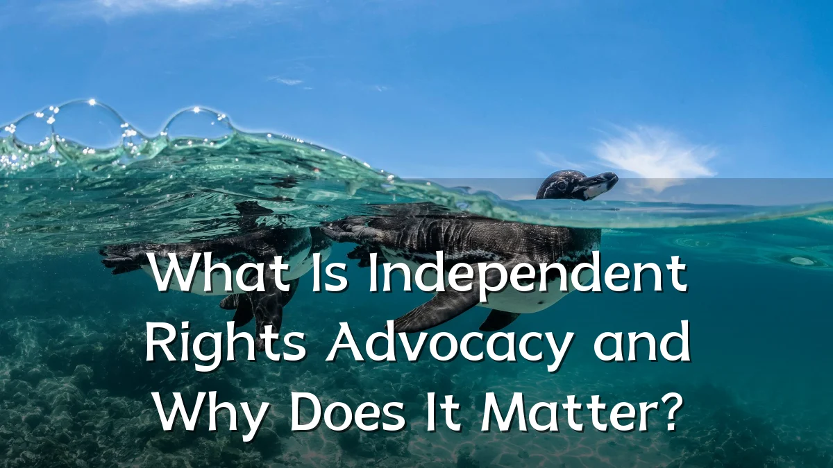 What Is Independent Rights Advocacy and Why Does It Matter?