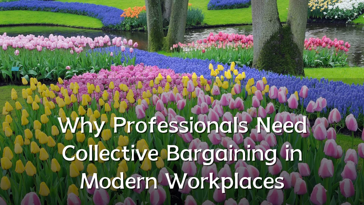 Why Professionals Need Collective Bargaining in Modern Workplaces