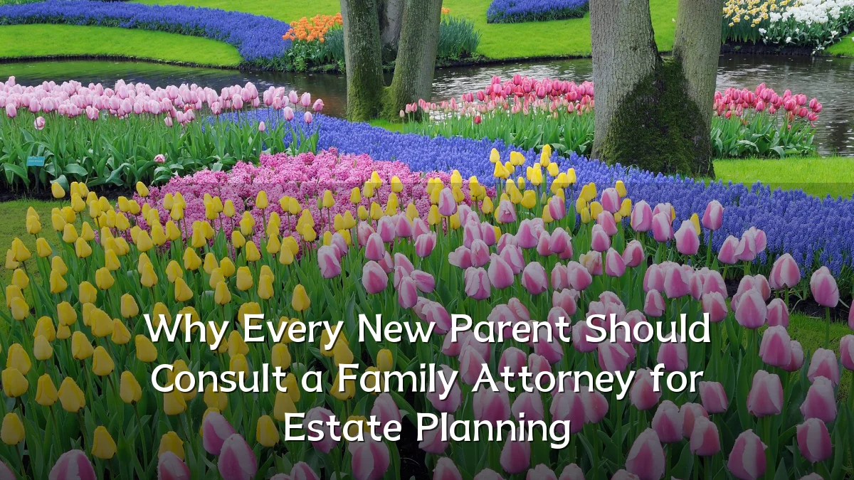 Why Every New Parent Should Consult a Family Attorney for Estate Planning