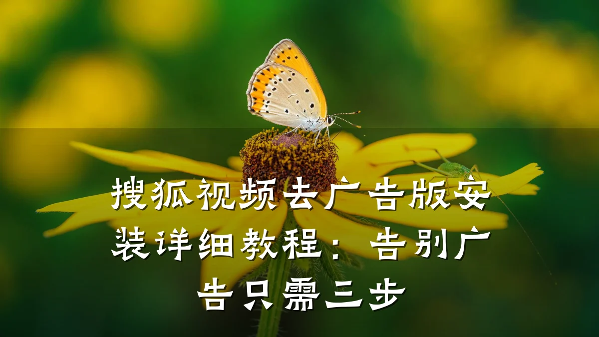 搜狐视频去广告版安装详细教程:告别广告只需三步